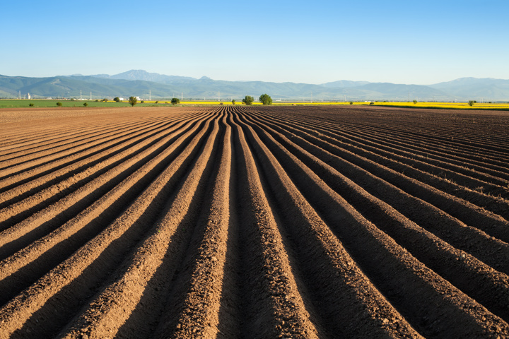 Soil Amendment Sulphur