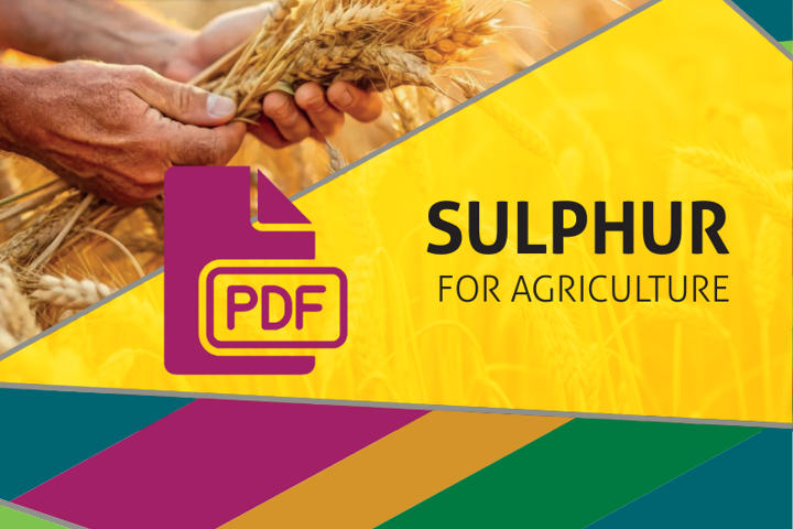 Sulphur for Agriculture Brochure